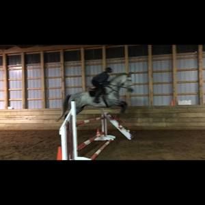 Meet your Posher, Robin